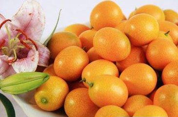 t01db7e2a91afa5ca77 (1)